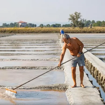 Ferienhaus Luxury Penthouse *