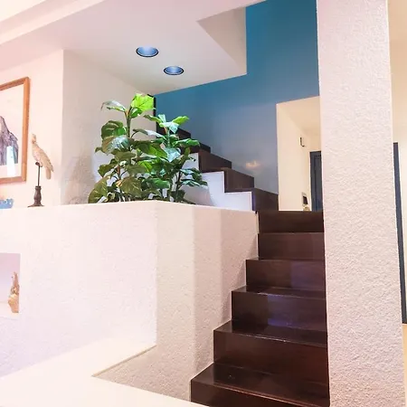 Luxury Penthouse