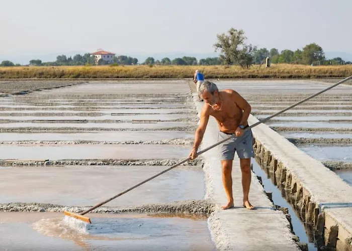 펜션 Luxury Penthouse *